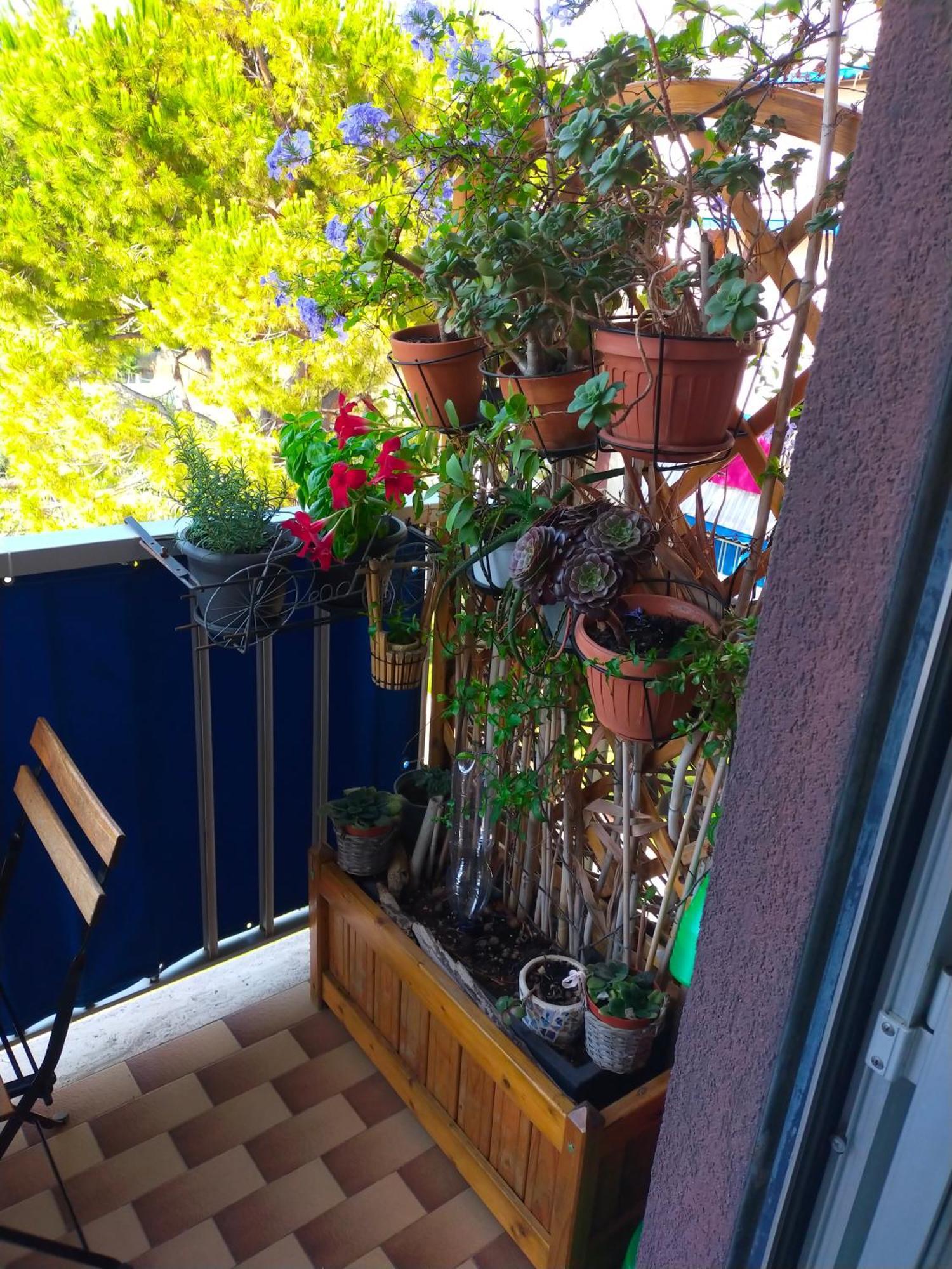 Appartamento Riviera Trilocale Wifi E Parcheggio Privato Ventimiglia Luaran gambar